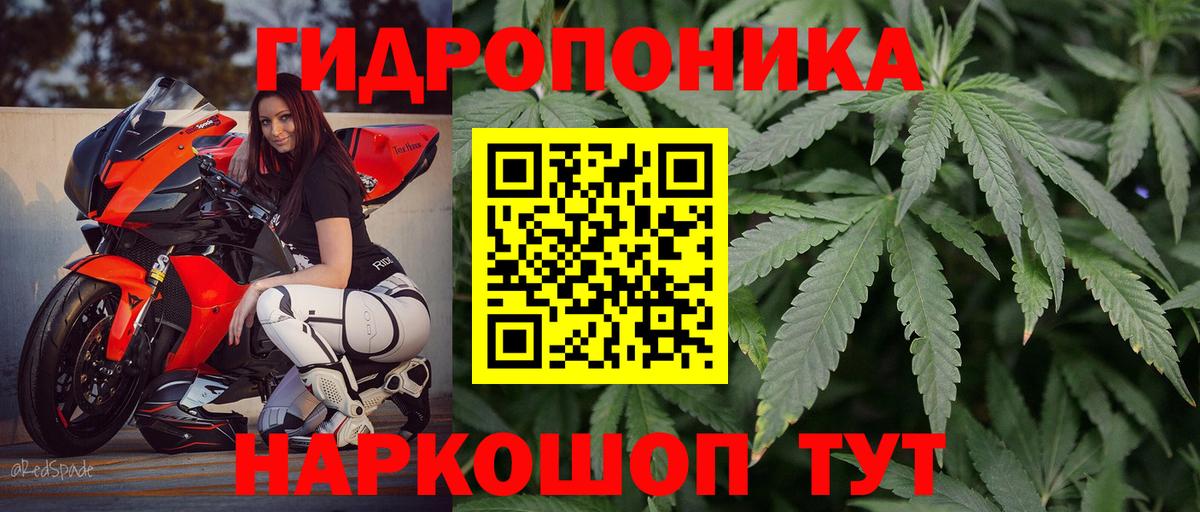 Марихуана THC 21%  Вход с VPN  Аша  Канабис THC 21%  Марихуана Ganja 